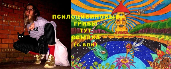 apvp Балабаново
