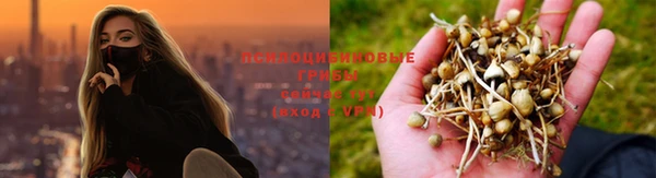 apvp Балабаново