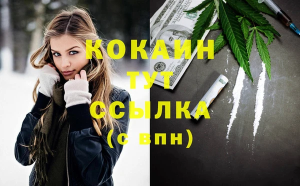 спайс Баксан