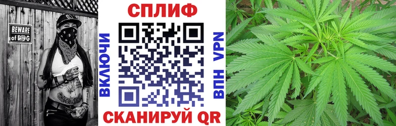 закладка  Велиж  Конопля планчик 